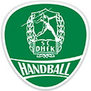Logo LEI