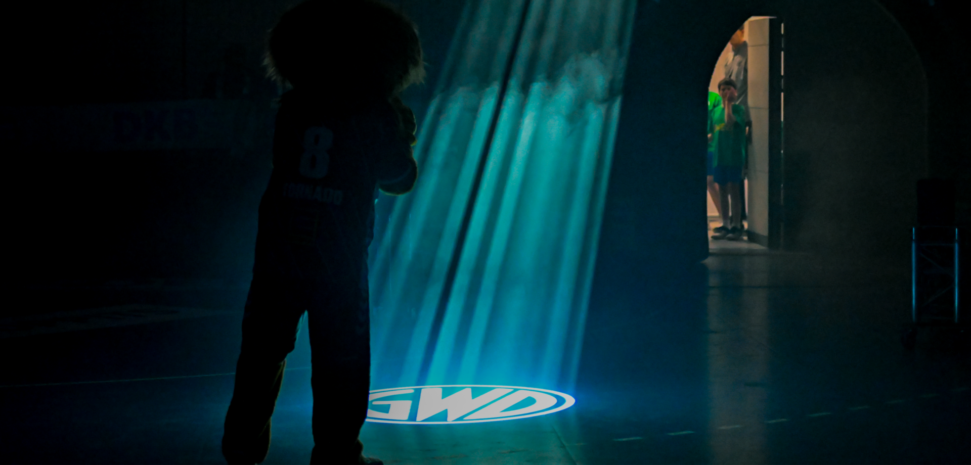 GWD Minden erhält von der HBL die Lizenz für die Saison 2026/2027